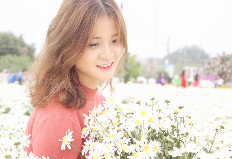 Hà Nội đẹp ngỡ ngàng trong mùa cúc họa mi